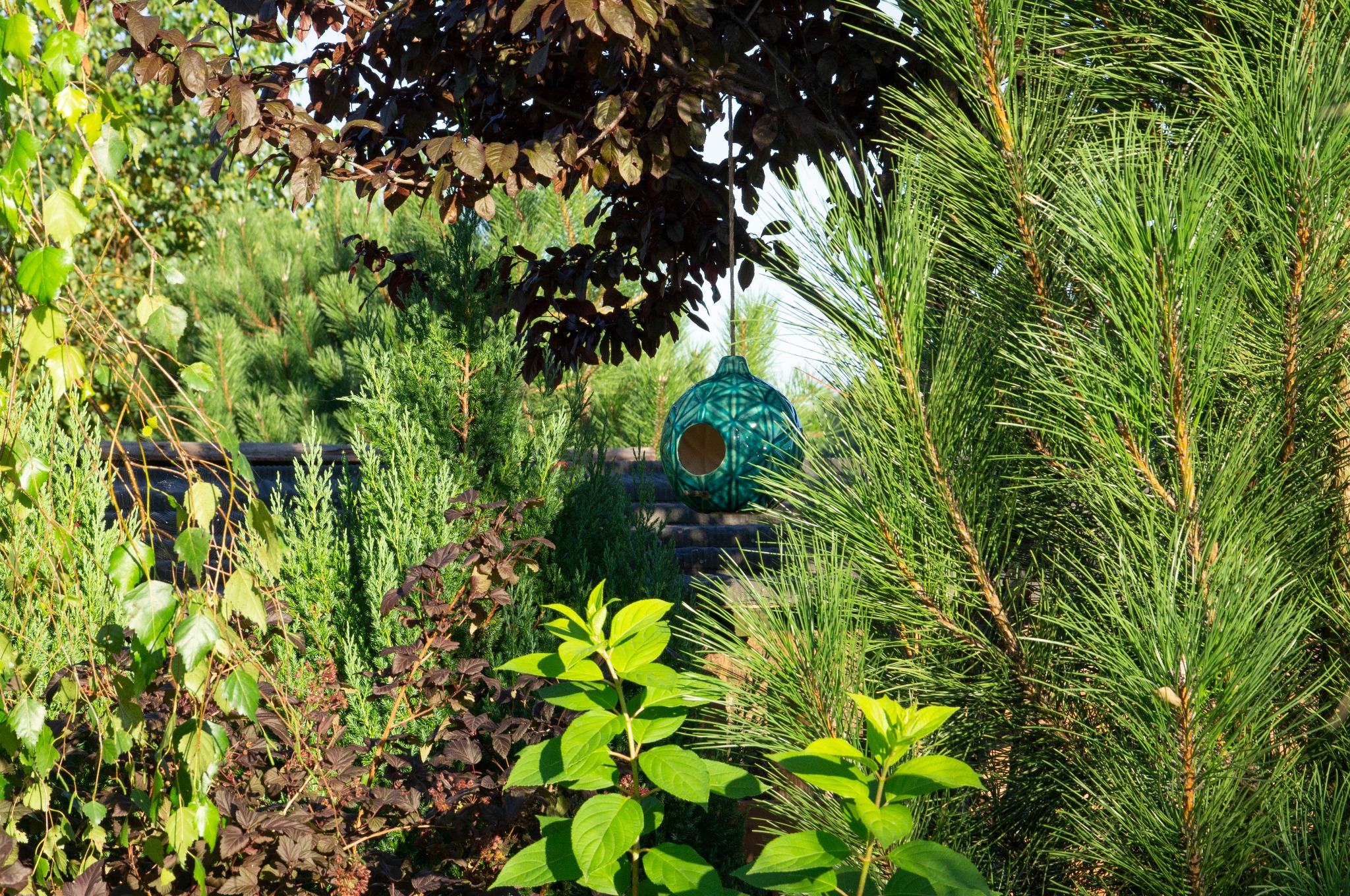 Ogród z różnorodną roślinnością iglastą i liściastą, z ceramicznym karmnikiem dla ptaków w tle, umieszczonym na kamiennych stopniach.