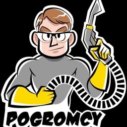 Pogromcy Plam Michał Adamczyk - Czyszczenie Kostki Brukowej Mosina