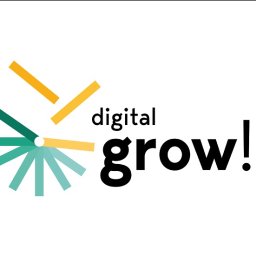 Digital Grow Sebastian Kałuża - Strategia Marketingowa Katowice