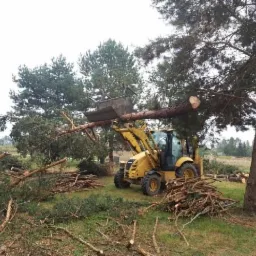 Ż&oacute;łta ładowarka z łyżką unosi odcięty pień drzewa, w tle porozrzucane gałęzie i ścięte pnie, widoczne drzewa i łąka.