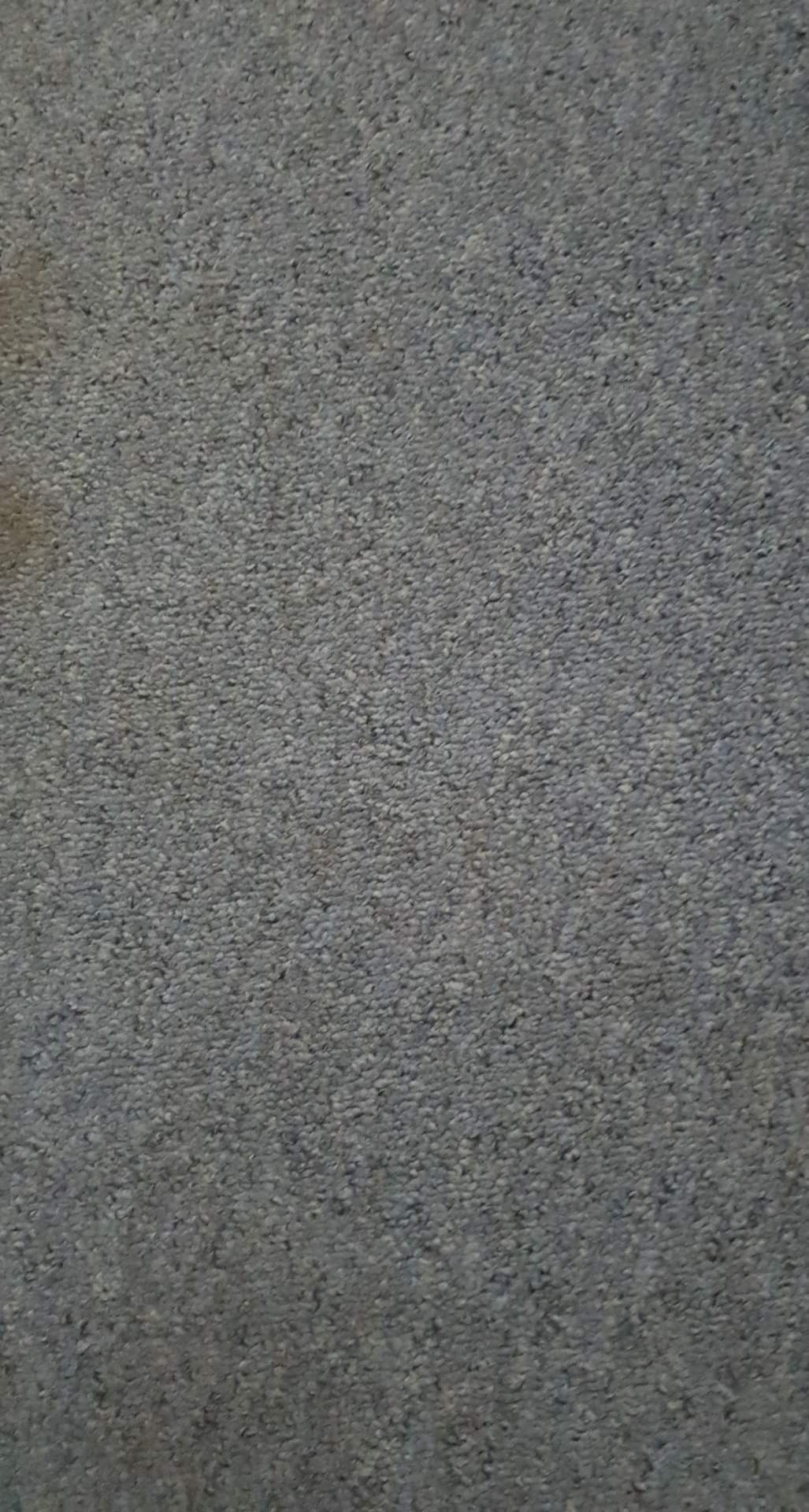 Zbliżenie szarego dywanu o drobnej strukturze z delikatnymi ciemniejszymi plamkami.