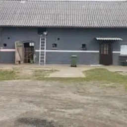 Szara elewacja budynku gospodarczego z dwoma drabinami opartymi o ścianę, widoczne ślady po taśmie malarskiej, pranie suszące się na płocie, zielony kosz na śmieci przed budynkiem.