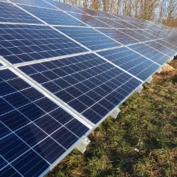 Rząd paneli fotowoltaicznych zainstalowanych na trawie, z widocznymi metalowymi wspornikami i odbiciami nieba na powierzchni paneli, w tle drzewa bez liści i ogrodzenie.