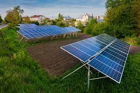 Dwa rzędy paneli słonecznych na trawiastym terenie z widokiem na domy w tle, ujęcie z niskiej perspektywy.