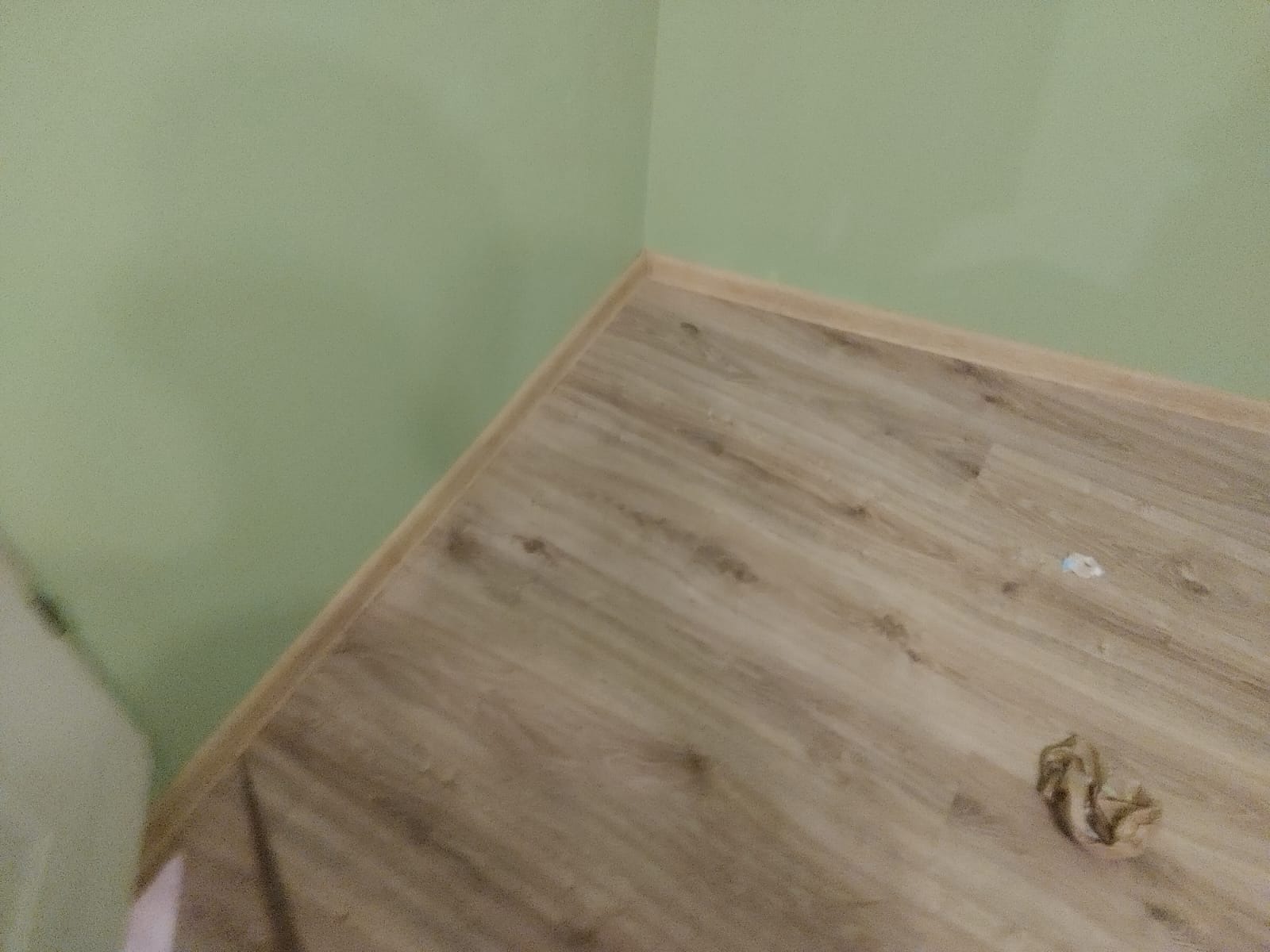 Fragment rogu pokoju z ułożonymi panelami podłogowymi w odcieniach beżu i brązu, ściany pomalowane na jasnozielono, widoczne listwy przypodłogowe, na podłodze leży zwinięty kawałek papieru.
