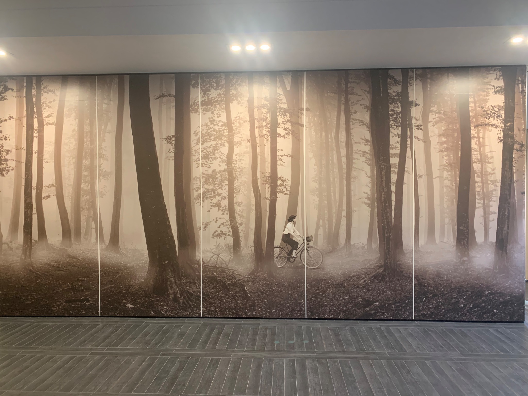 Fototapeta przedstawiająca mglisty las z kobietą na rowerze, widoczne połączenia między panelami, oświetlenie sufitowe