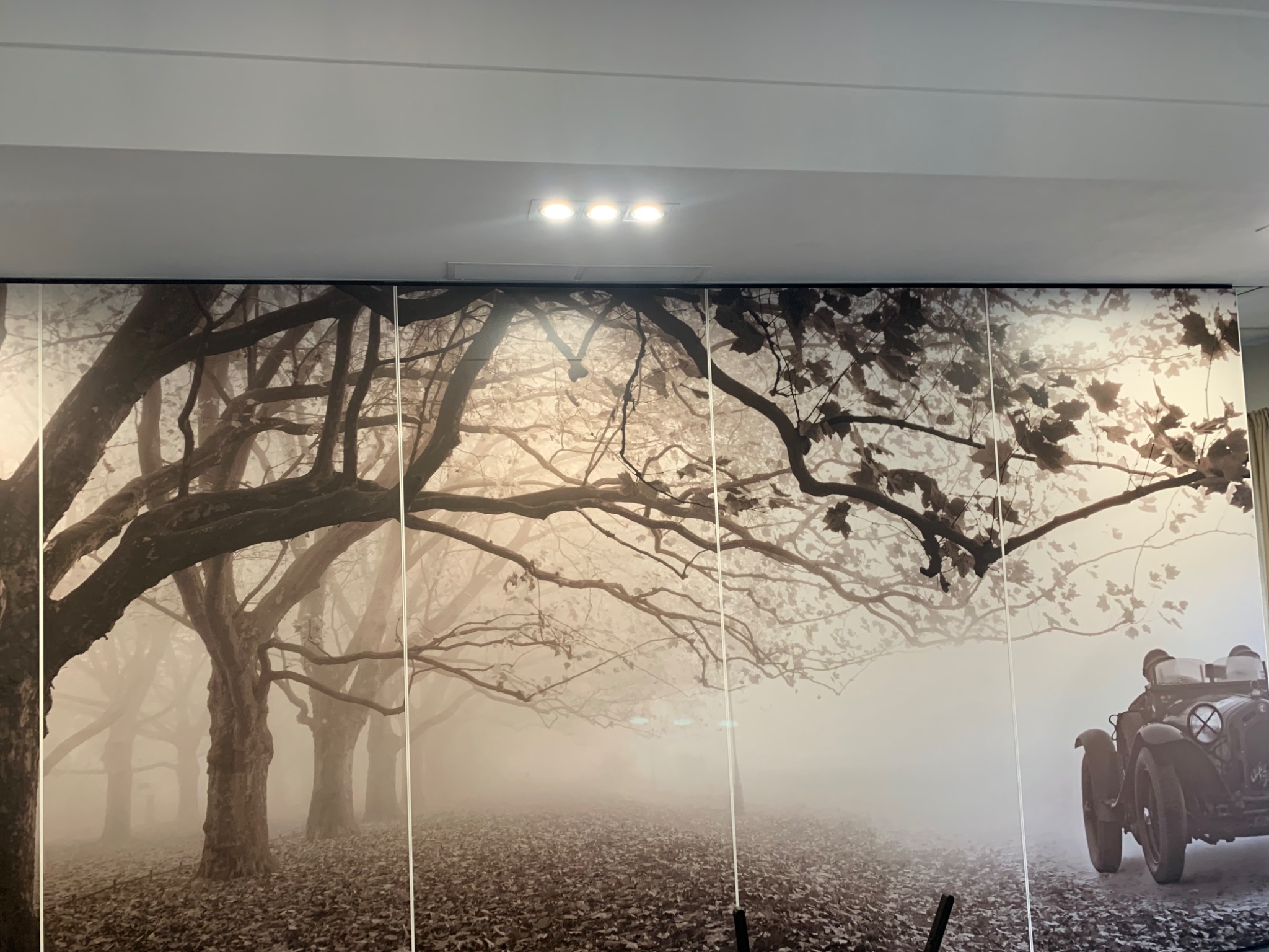 Fototapeta przedstawiająca mglisty las z zabytkowym samochodem w prawym dolnym rogu, podzielona na kilka pionowych paneli, oświetlona przez trzy punktowe lampy sufitowe.