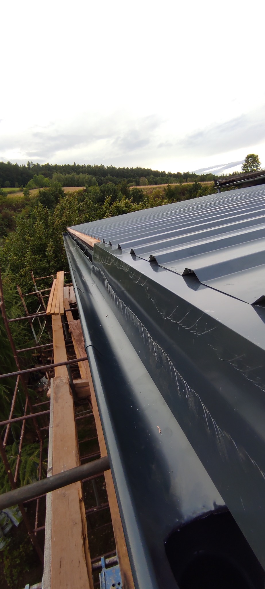 Nowa, błyszcząca, grafitowa rynna zamontowana na dachu z blachy trapezowej. Widok z rusztowania na tle zieleni i pochmurnego nieba.