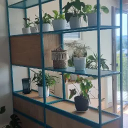 Turkusowy regał z drewnianymi panelami, wypełniony roślinami doniczkowymi, tworzący ażurową ściankę działową w jasnym wnętrzu z parkietem.