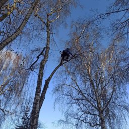 Prace wysokościowe Lublin 2