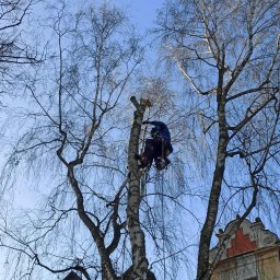 Prace wysokościowe Lublin 1