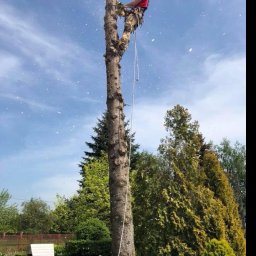 Prace wysokościowe Lublin 3