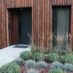 BLACKWOOD - Dom z elewacją z ciemnego drewna, oświetlony kinkietami, z szarą stolarką okienną i drzwiami, przed wejściem jasny chodnik i rabata z ozdobnymi trawami i lawendą.