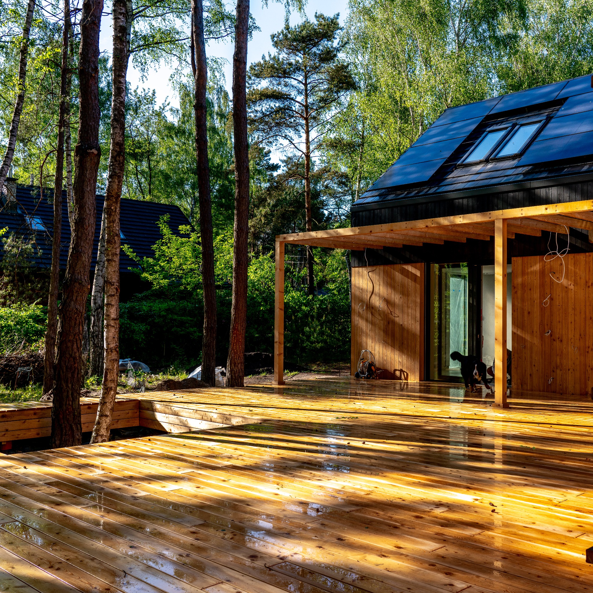 Nowoczesny dom z czarną elewacją i panelami słonecznymi, połączony z drewnianym tarasem i pergolą, otoczony lasem; na tarasie widoczne ślady wody, a w tle pies rasy bernardyn.