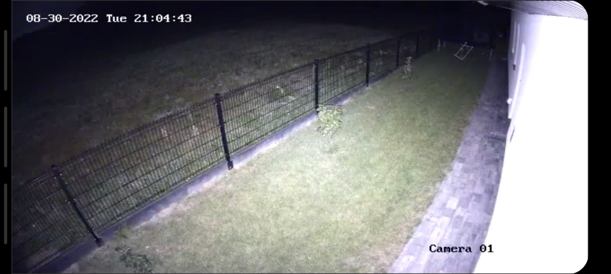 Obraz z kamery monitoringu nocą, widok na posesję z metalowym ogrodzeniem, trawnik i fragment budynku z chodnikiem.