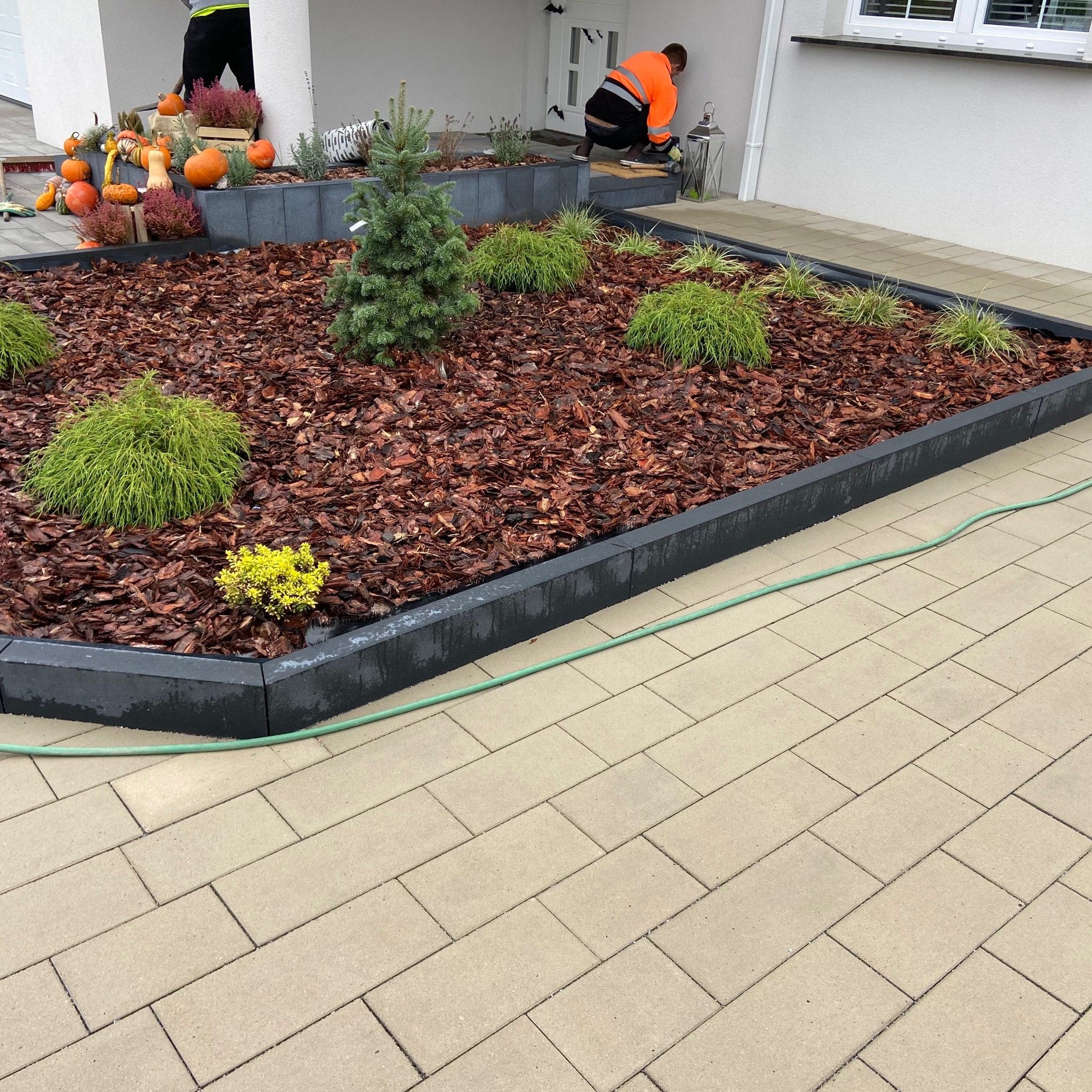 Ogród z rabatami wykończonymi obrzeżami, wysypany korą i obsadzony roślinami ozdobnymi, z widoczną kostką brukową i pracownikiem w odblaskowej kamizelce przy elewacji budynku.