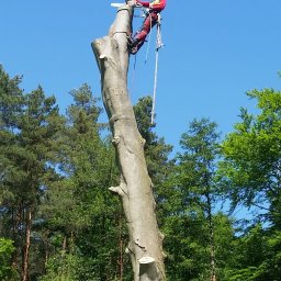 Pielęgnacja ogrodów Otwock 1
