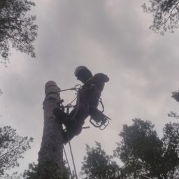 Pielęgnacja ogrodów Otwock 4