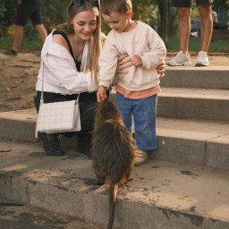 Nadya_Kova Photo - Kobieta z dzieckiem karmią nutrie na betonowych schodach w parku, w tle spacerujący ludzie.