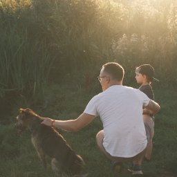 Nadya_Kova Photo - Ojciec w okularach kuca obok siedzącego psa, głaszcząc go, w tle stoi syn w czapce, wszystko w promieniach zachodzącego słońca i wysokiej trawie.