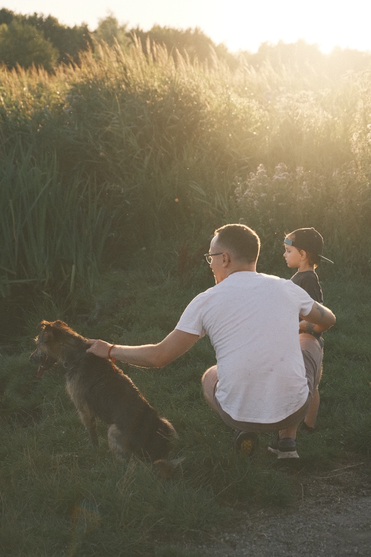 Ojciec w okularach kuca obok siedzącego psa, głaszcząc go, w tle stoi syn w czapce, wszystko w promieniach zachodzącego słońca i wysokiej trawie.