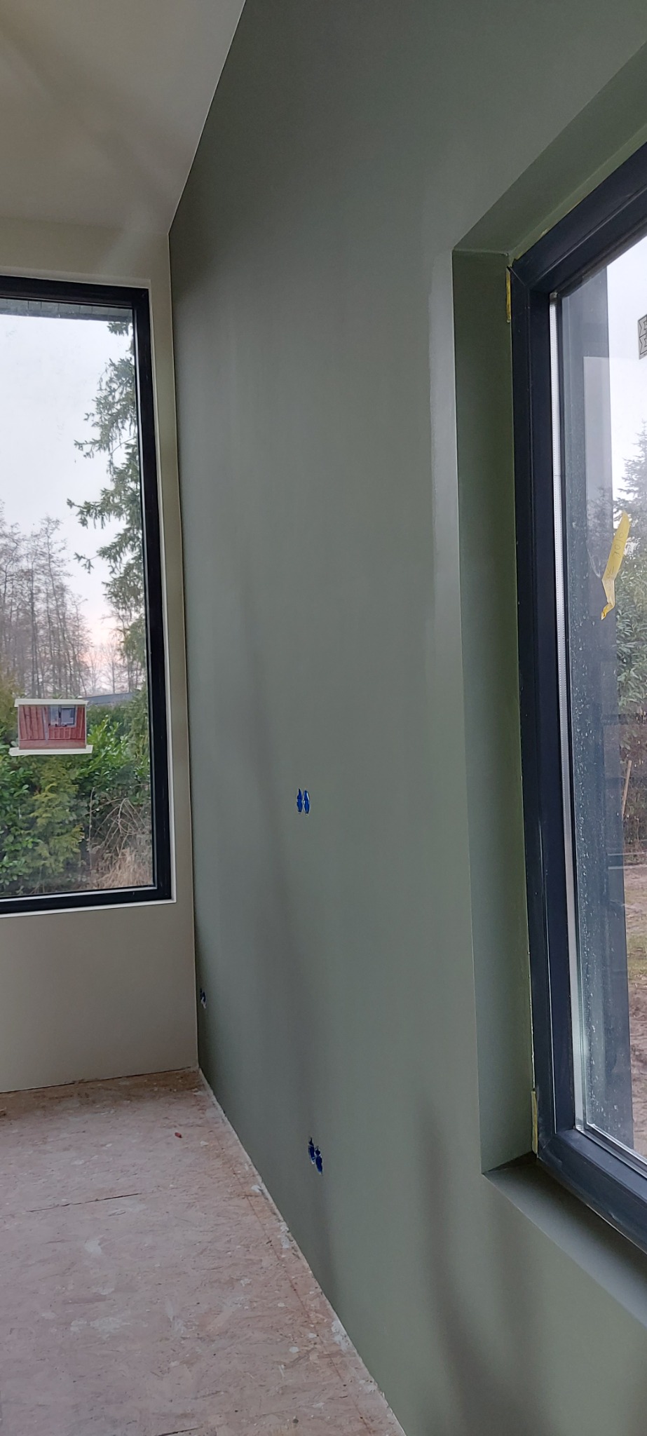 Świeżo pomalowana ściana w odcieniach zieleni, widoczne dwa okna z czarnymi ramami i fragment podłogi w surowym stanie, z widocznymi śladami prac wykończeniowych.