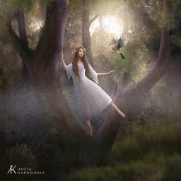 Ilustracja Las Elfów