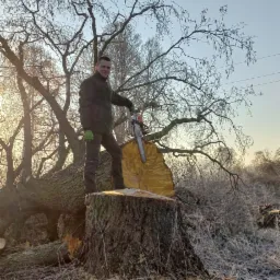 Mężczyzna z piłą łańcuchową stoi na świeżo ściętym pniu drzewa, w tle powalone drzewo i zimowy krajobraz.