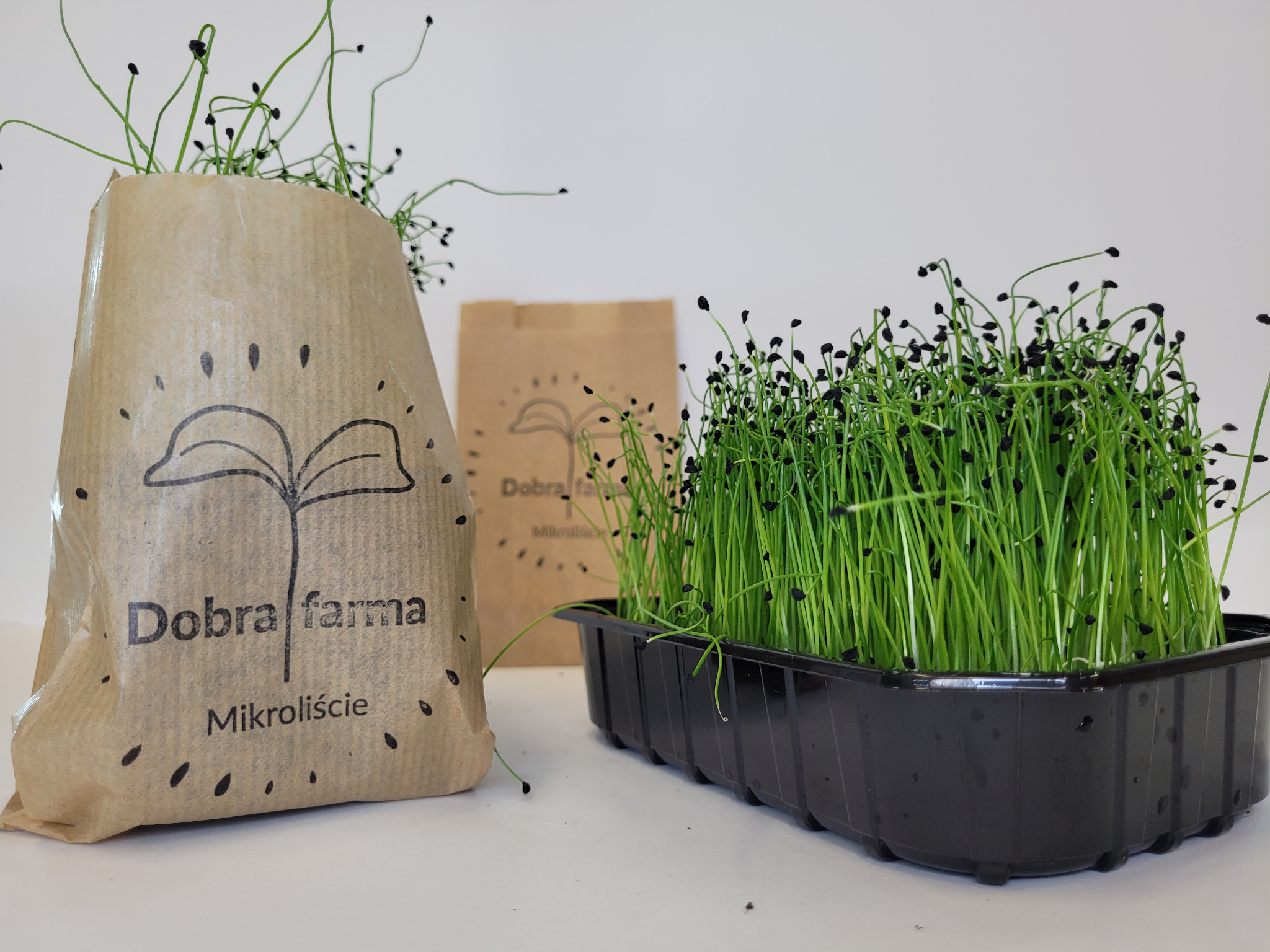 Mikrozielonka cebuli w czarnej doniczce obok papierowej torby z logo 'Dobra Farma Mikroliście', w tle druga torba z logo.
