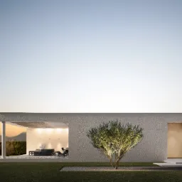 Nowoczesny budynek z płaskim dachem i oświetlonym drzewem oliwnym na pierwszym planie, widok na zachód słońca w tle.