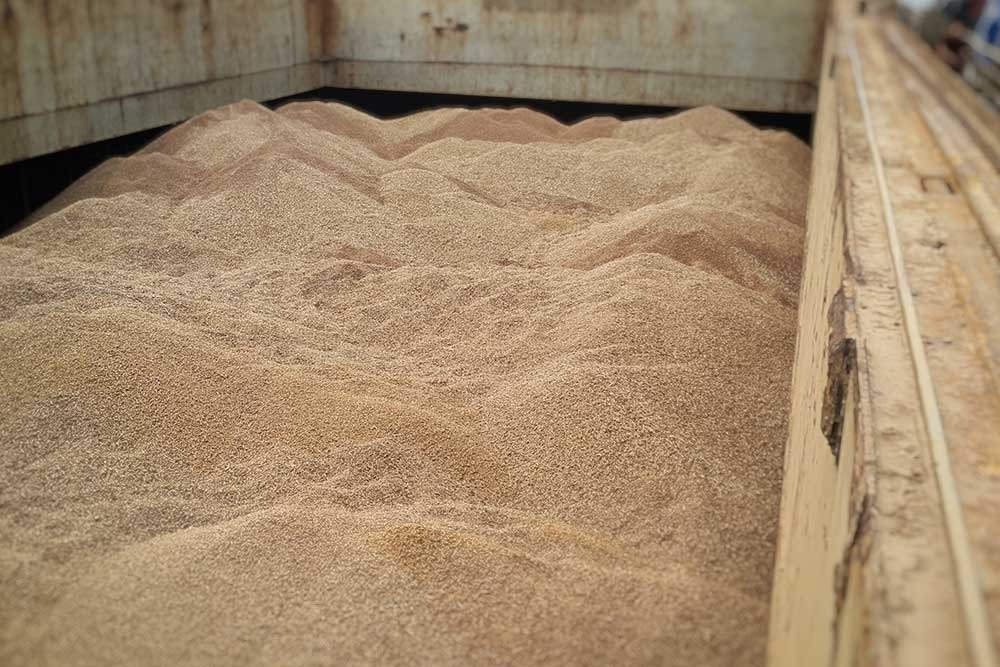 Jasny, sypki materiał, prawdopodobnie pellet drzewny, wypełniający przestrzeń ładunkową z drewnianymi ścianami, widoczne nierówności i usypane kopce.