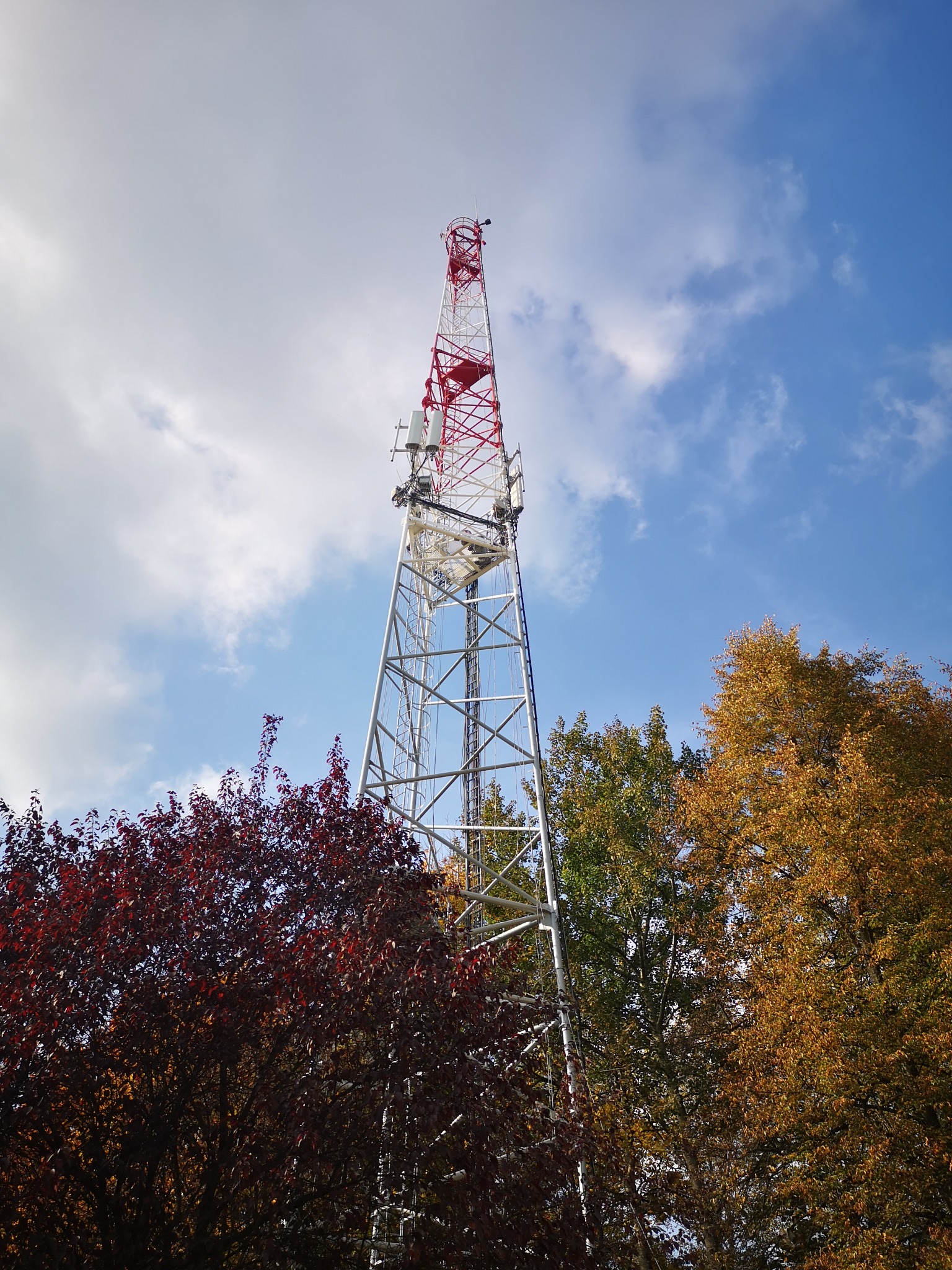 Wysoka, stalowa wieża telekomunikacyjna pomalowana na biało-czerwono, widoczna od dołu na tle błękitnego nieba z chmurami, otoczona drzewami o jesiennych barwach.