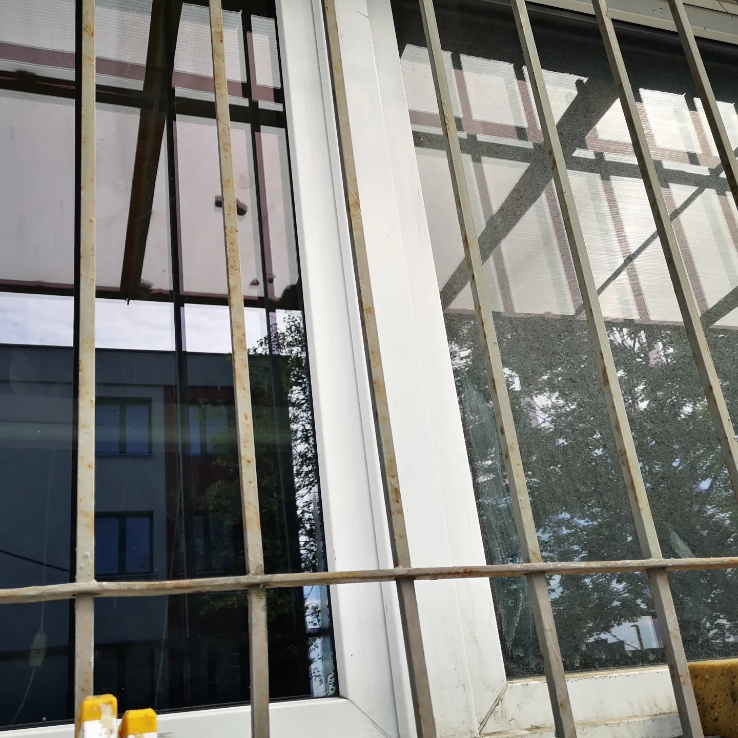 Okna z metalowymi kratami ochronnymi, widok z zewnątrz, częściowo zardzewiałe, z odbiciem budynku i drzew