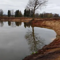 Nowo wykopany staw z odbiciem drzewa w wodzie, widoczne ślady po maszynach na brzegach.