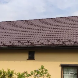 Brązowy dach z blachodachówki modułowej, widoczne zabezpieczenia przeciwśniegowe, rynna w kolorze dachu, elewacja budynku w odcieniach żółci, okno z kwiatami i świerk w tle.