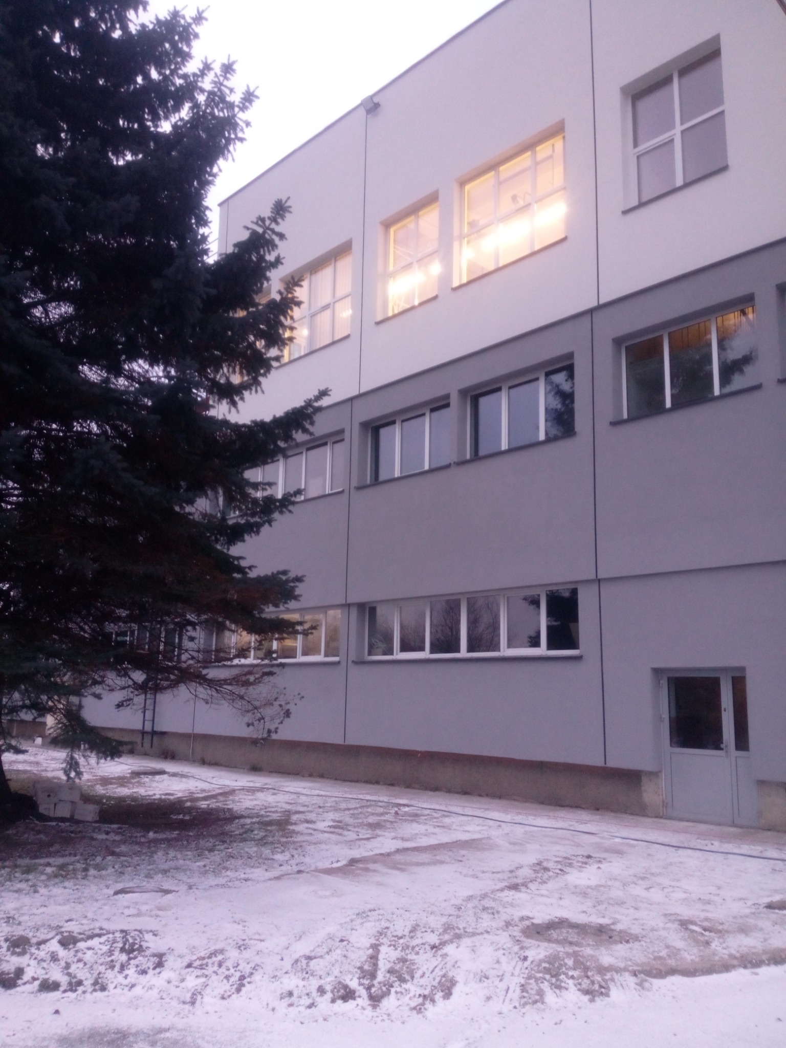 Dwukolorowa elewacja budynku z widocznym oświetleniem wewnętrznym i częściowo ośnieżonym terenem, przysłonięta przez ciemnozielone drzewo iglaste po lewej stronie.