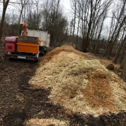 Kupa zrębków drzewnych w lesie, przyczepa z rozdrabniaczem do gałęzi i ciągnik rolniczy w tle, widoczne tablice rejestracyjne, dzień pochmurny.