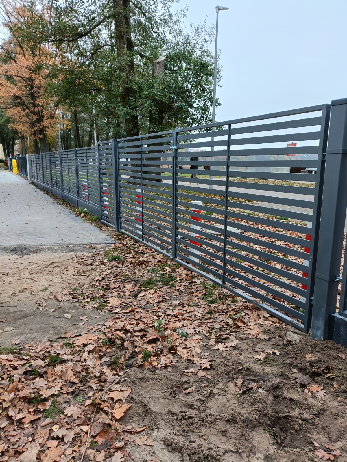 Nowoczesne, poziome ogrodzenie panelowe w kolorze grafitowym, oddzielające chodnik od trawnika z opadłymi liśćmi. Widok z boku, w tle drzewa i słup oświetleniowy.