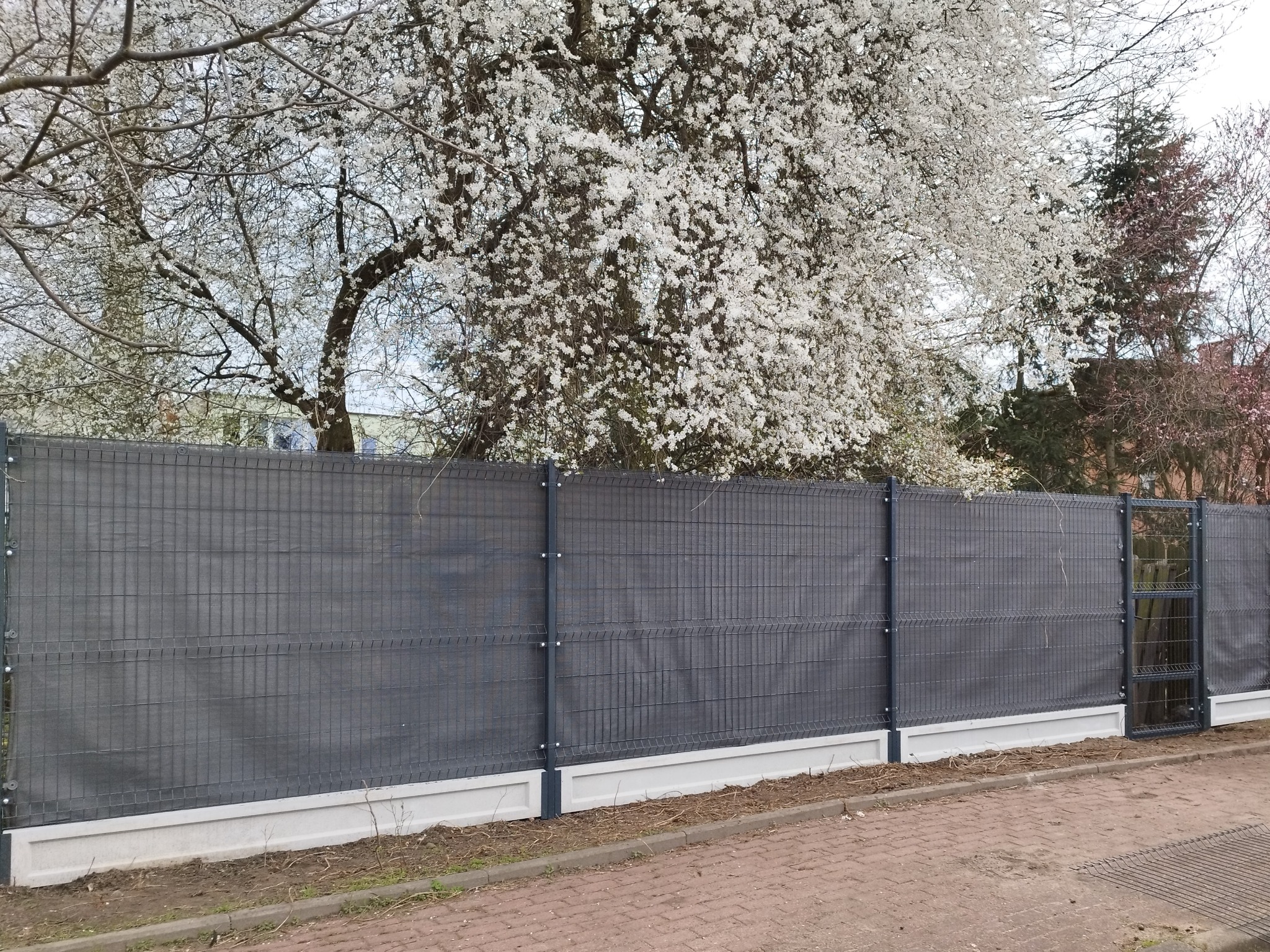 Nowoczesne ogrodzenie panelowe z podmurówką betonową i furtką, na tle kwitnących drzew w wiosennym krajobrazie.