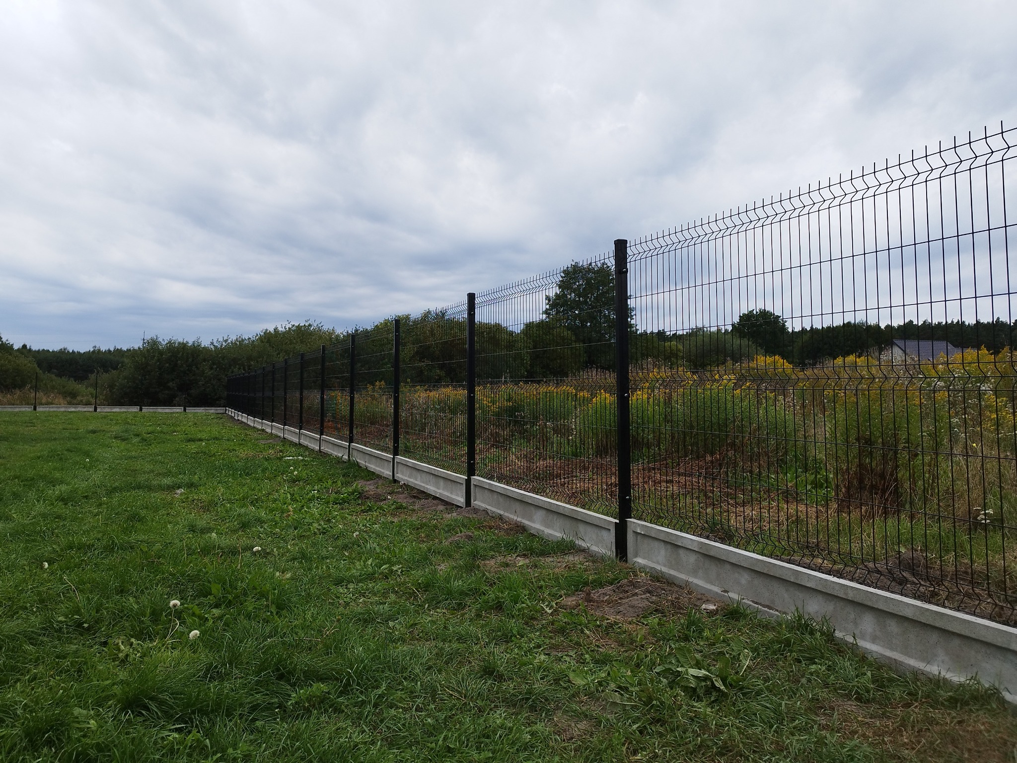 Nowoczesne, czarne ogrodzenie panelowe z podmurówką betonową na tle zieleni i pochmurnego nieba.