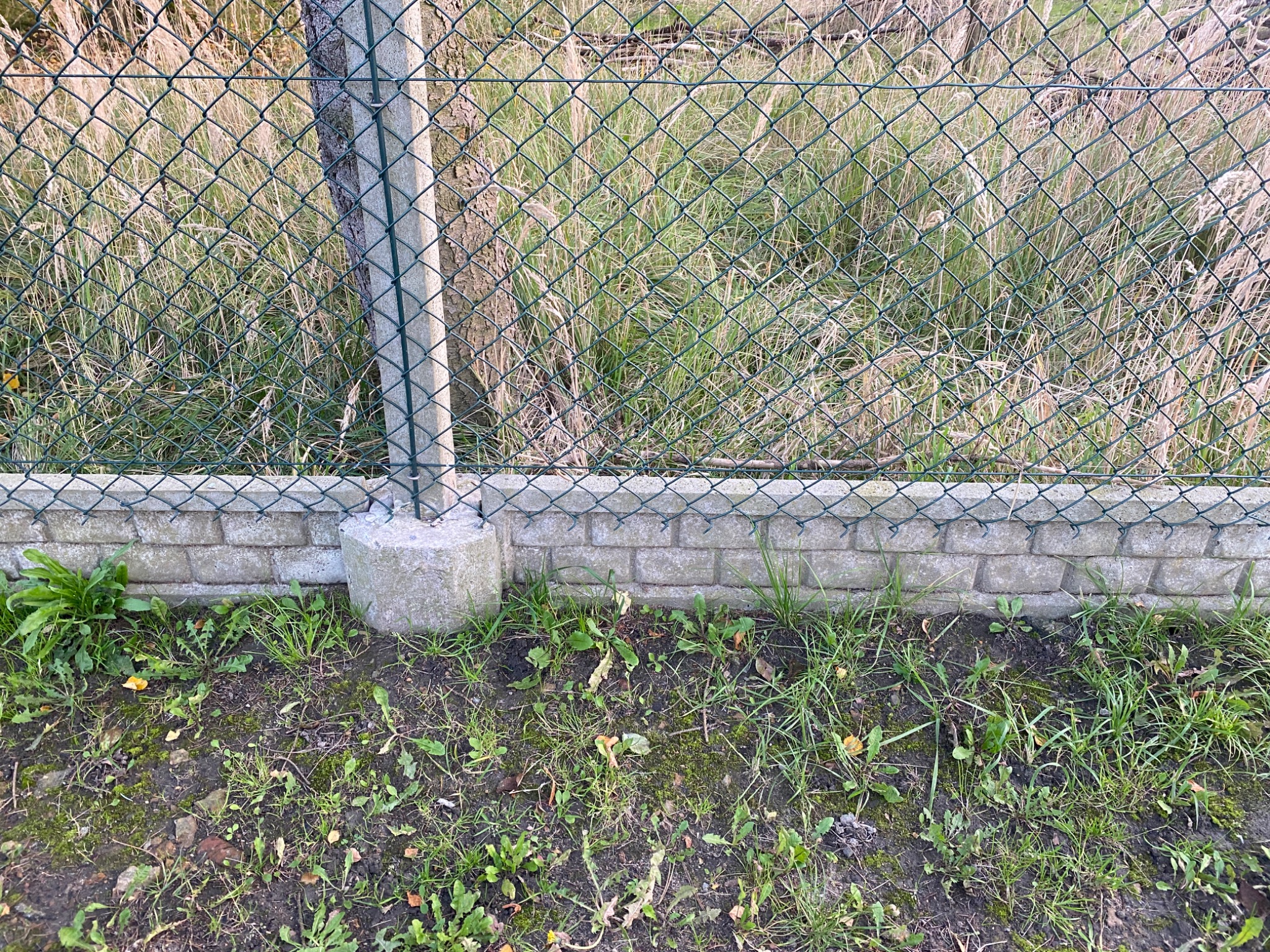 Fragment ogrodzenia z siatki z betonowym słupkiem i podmurówką z betonowych bloczków, za ogrodzeniem wysoka trawa, na pierwszym planie ziemia z trawą.