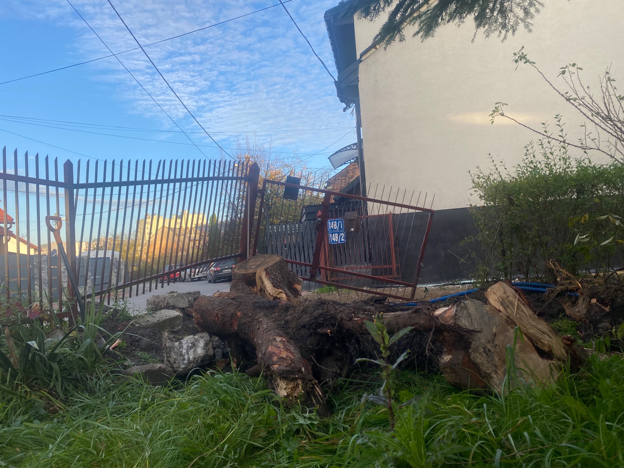Świeżo ścięte drzewo leżące na trawie obok metalowego ogrodzenia posesji, z widoczną tabliczką adresową i fragmentem budynku w tle.
