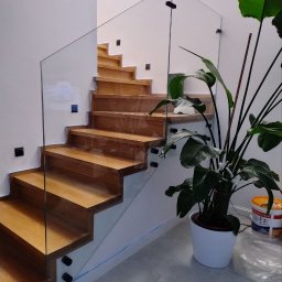 Vitrada sp. z o.o. - Nowoczesne drewniane schody z balustradą ze szkła hartowanego, mocowaną czarnymi punktami do białej ściany. Obok duża strelicja w białej donicy na jasnoszarej podłodze.
