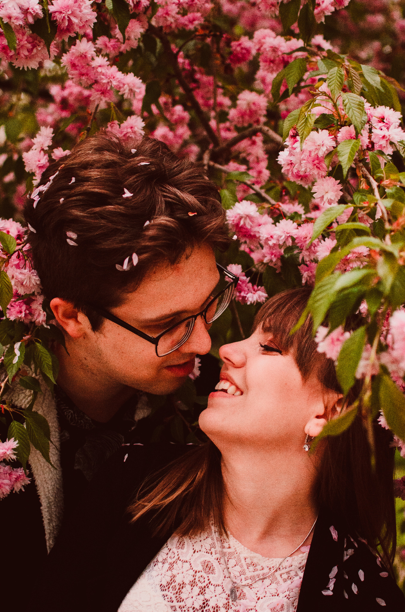 Zakochana para, on w okularach, patrzy na uśmiechniętą kobietę, otoczeni kwitnącym drzewem wiśni o różowych kwiatach.