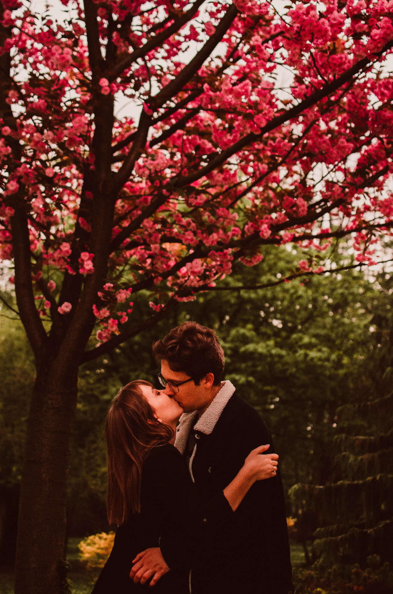Zakochana para całuje się pod kwitnącym drzewem wiśni, on w okularach i czarnej kurtce z barankiem, ona w czarnej sukience, delikatne światło.