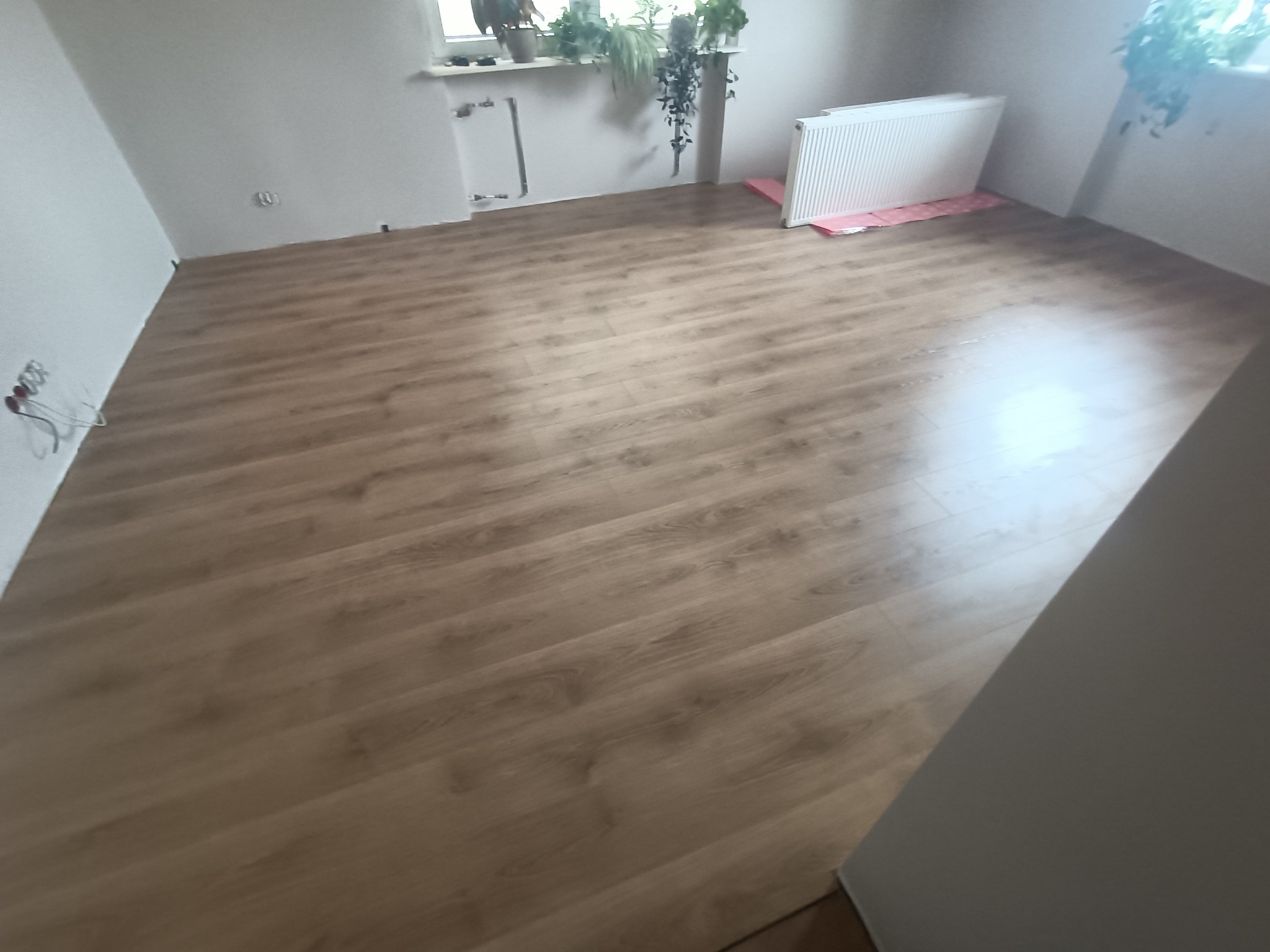 Jasne panele podłogowe ułożone w pustym pokoju, widok na grzejnik, parapet z roślinami i gniazdka elektryczne na ścianie.