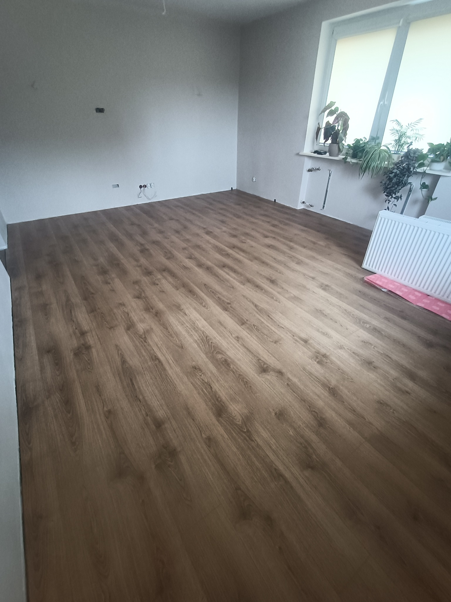 Nowo ułożone panele podłogowe w jasnym pokoju, widoczne gniazdka elektryczne na ścianie i rośliny doniczkowe na parapecie okiennym.