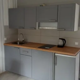 Szara zabudowa kuchenna z drewnianym blatem, widoczny zlew, płyta indukcyjna i czajnik elektryczny, minimalistyczny design.