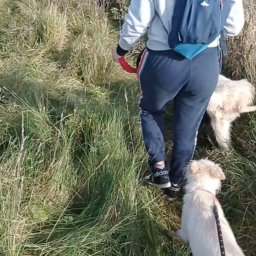 Grupowy spacer w fundacji ;)