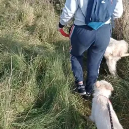 Grupowy spacer w fundacji ;)